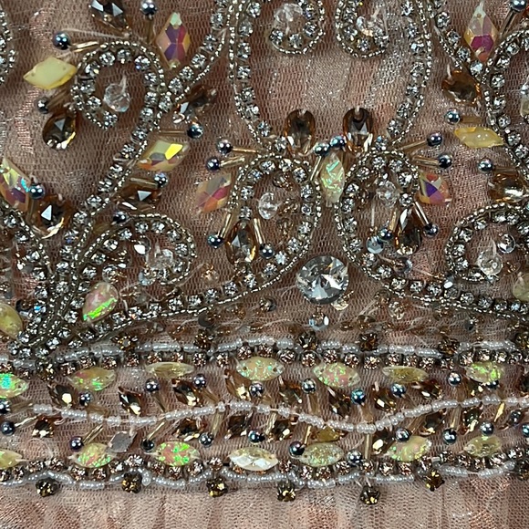 Tony Bowls Evenings Long Beaded Lace and Tulle Dress Gown - Picture 14 of 17